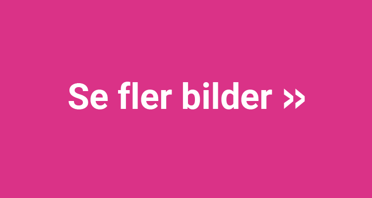 se-fler-bilder.png