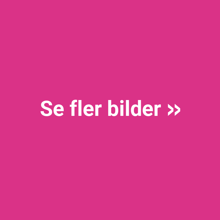 se-fler-bilder.png